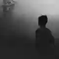 Nit