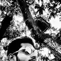 Anas Khan